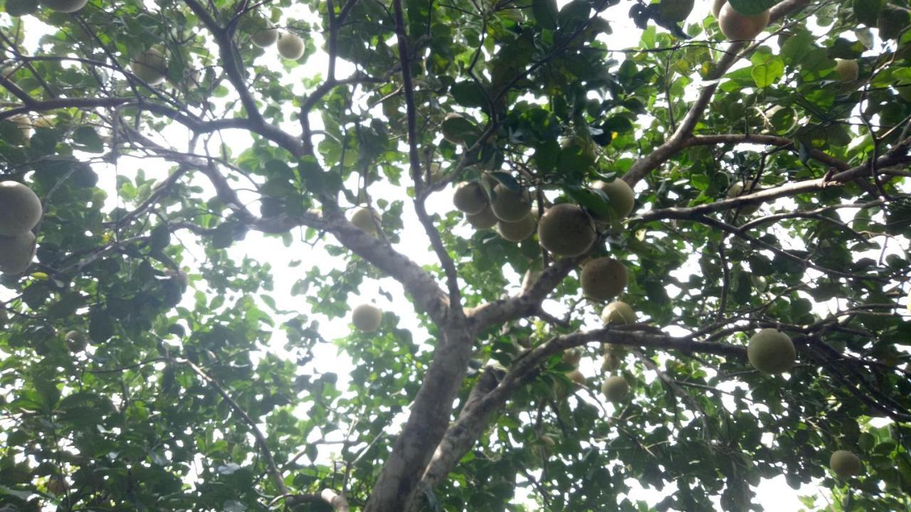 塔姆特恩维恩民宿 顺化 外观 照片